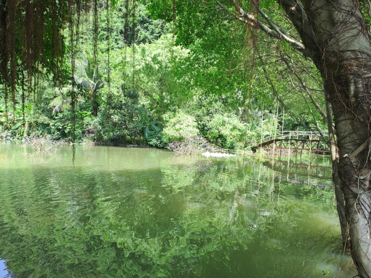 Thung Sen Tam Coc Chalets Ниньбинь Экстерьер фото