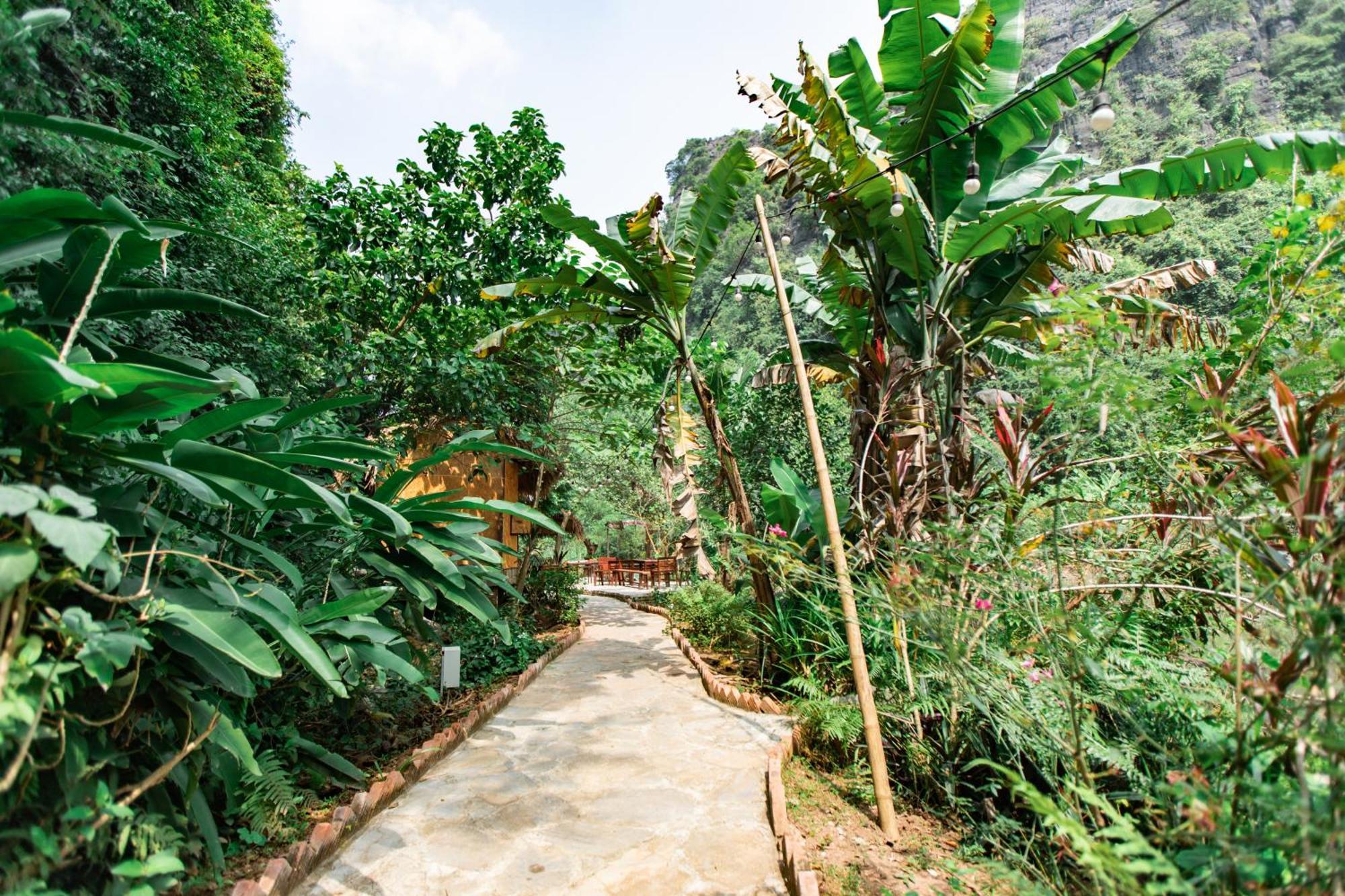 Thung Sen Tam Coc Chalets Ниньбинь Экстерьер фото
